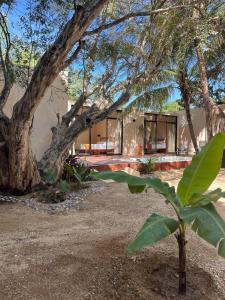 a house with a large tree in front of it at Casa Yag in Brisas de Zicatela