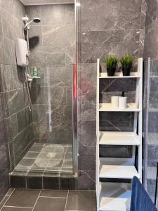 a bathroom with a shower with black tiles at Prestashortstays in Belfast +26 photos