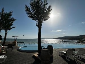 palma siedząca obok basenu w obiekcie Perfect Sea and Pool View Apartment Marina City w Bałcziku