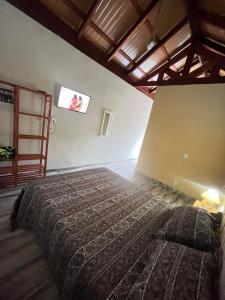 a bedroom with a bed and a tv on the wall at Chalés do vale Extrema verde in Extrema