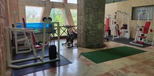 Fitness centrum a/nebo fitness zařízení v ubytování Essenzia de Cancun