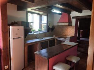 a kitchen with a white refrigerator and a sink at Ribera del Sella III in Dego +14 photos