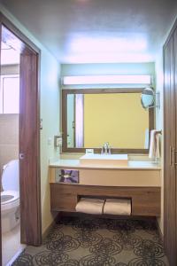 a bathroom with a sink and a mirror and a toilet at Holiday Inn & Suites Chihuahua Expo by IHG in Chihuahua +41 photos