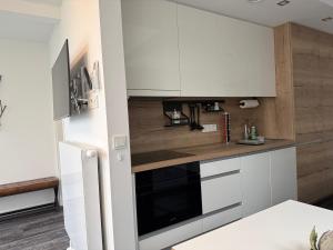 a kitchen with white cabinets and a black appliance at Ferienhaus Lakoma in Elsterheide