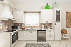 A kitchen or kitchenette at Villa Nafsika