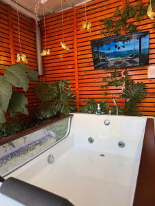 bagno con vasca e TV a parete di Beehouse Withe Jacuzzi Opcional a Villa Alemana