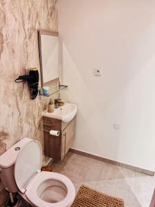 a bathroom with a toilet and a sink and a mirror at Loft Bis cosy proche des plages et villes in Démouville +33 photos