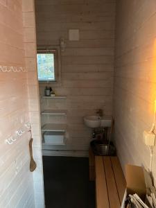a small bathroom with a sink and a sink at Nauvo Valmu in Valmoholm