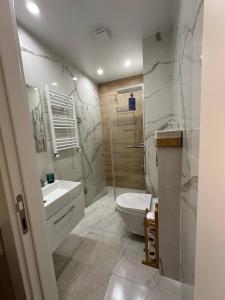 巴统Cozy Bali Style Relax & Coffee & Yoga & Work room的浴室里有马桶、洗手池和淋浴。