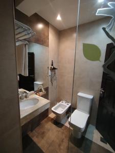 a bathroom with a toilet and a sink at Casa Magno Apart Boutique in Salta