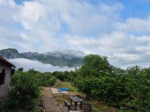 a view of a foggy mountain with a bench and trees at Konak -Guest house -Ramonda Serbika in Niš