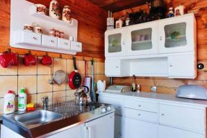 Dapur atau dapur kecil di Domek Gajowy-6