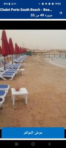a row of beach chairs and umbrellas on the beach at ستوديو بورتو شرم الشيخ in Sharm El Sheikh