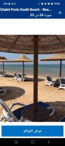 an image of a beach with chairs and umbrellas at ستوديو بورتو شرم الشيخ in Sharm El Sheikh