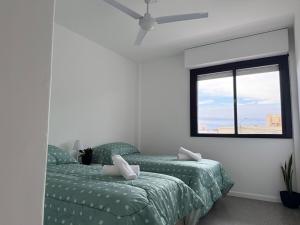 a bedroom with two green beds and a window at Che Pampa Departamento in Santa Rosa
