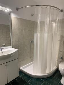 アルゴストリオンにあるStudio Luciaのシャワー、トイレ、洗面台を備えたバスルーム