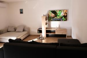 a living room with a couch and a tv on the wall at Little Sunshine in Herceg-Novi