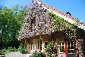 ein Haus mit lila Blumen an der Seite in der Unterkunft B&B De Hagmolenbeek Boekelo in Boekelo