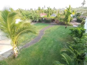 Un jardín fuera de Lazy Búngalow