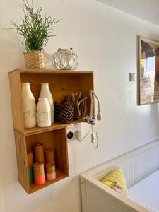 a shelf with vases and plants on a wall at Studio entre lac et océan à Hossegor in Soorts-Hossegor