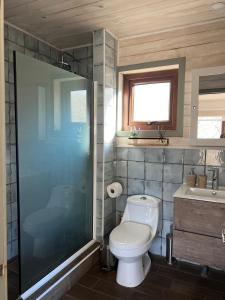 a bathroom with a toilet and a shower and a sink at Refugio Vista Sierra Nevada in Malalcahuello +22 photos
