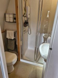 a bathroom with a shower and a toilet and a sink at Cosy Pod by The Moor & Fishing in Cheriton Bishop