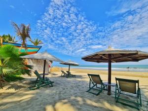 a group of chairs and umbrellas on a beach at Mancora Beach Hotel in Máncora