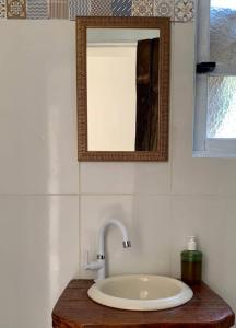 サンタ・ブランカにあるPatizal - Santuário de animaisのバスルーム(鏡付き洗面台付)