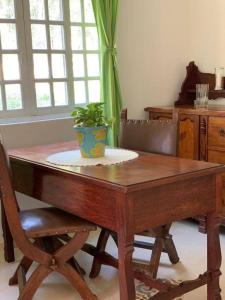 サンタ・ブランカにあるPatizal - Santuário de animaisの鉢植えが置かれた木製のテーブル