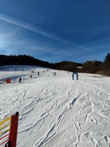 Σκι σε αυτή η παραθεριστική κατοικία ή εκεί κοντά +19 φωτογραφίες