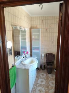 a bathroom with a sink and a toilet at Precioso chalet con gran algarrobo y piscina privada in La Jara +19 photos