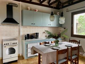 a kitchen with a table and a stove top oven at Lakis' Wellhouse in Ano Poroia