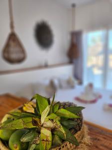 Gallery image of Mfumbwi Twins Apartments in Jambiani +9 photos