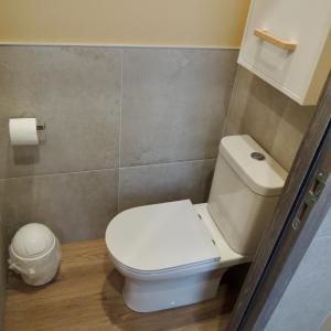 a bathroom with a white toilet in a room at L'Écrin des Arts - appartement avec jardin au coeur de la Côte des Blancs in Avize +26 photos