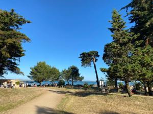 droga gruntowa w parku z drzewami i oceanem w obiekcie Le Clos des Hautes Mers w mieście Talmont-sur-Gironde