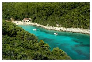 two boats in a river with a house on the shore at Foissner Apartments in Zavalatica