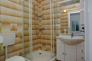 a bathroom with a shower and a sink and a toilet at Foissner Apartments in Zavalatica