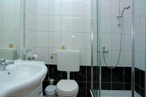 a bathroom with a toilet and a shower and a sink at Foissner Apartments in Zavalatica