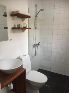 a bathroom with a toilet and a sink and a shower at Skagen City Apartments - Skagen-Byferie in Skagen +20 photos