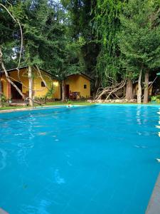 Bazén v ubytování Sigiri Resort nebo v jeho okolí