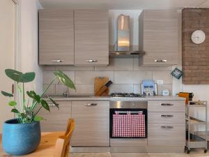a kitchen with a stove and a potted plant at La Casetta - Home Gallery in San Fiorano