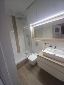 a bathroom with a toilet and a shower and a sink at Apartament 8 in Toruń +12 photos