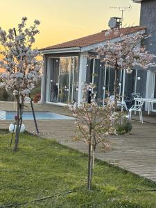 two trees in the grass in front of a house at Le Coucher de Soleil Spa in Bessens