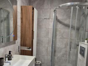 a bathroom with a shower and a sink at Gracia apartman in Vrnjci +10 photos