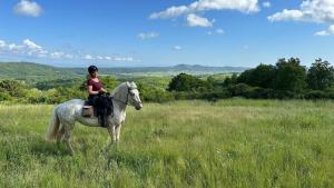 a woman riding a white horse in a field at Castello Santa Cristina in Grotte di Castro