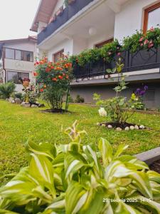 Gallery image of Uma in Bihać +24 photos