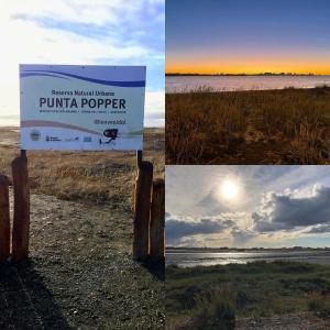 Naturlandskabet i nærheden af lejligheden