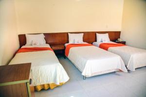 Postel nebo postele na pokoji v ubytování Hotel Monchuelo Spa
