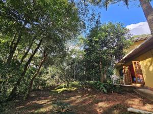 a house in the middle of a forest at Casa Amarela, Refúgio na natureza Rota do vinho in São Roque