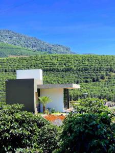 Gallery image of Casa Cedro in Espera Feliz +55 photos